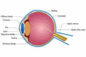 Can LASIK Eye Surgery Cure Glaucoma?