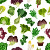 Leafy Greens Image