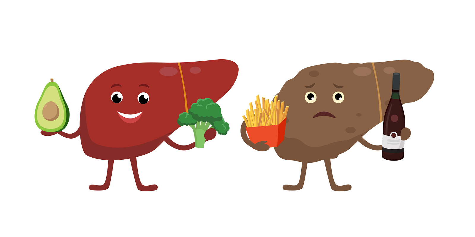 To Heal the Eyes, Look to the Liver To Heal the Eyes, Look to the Liver