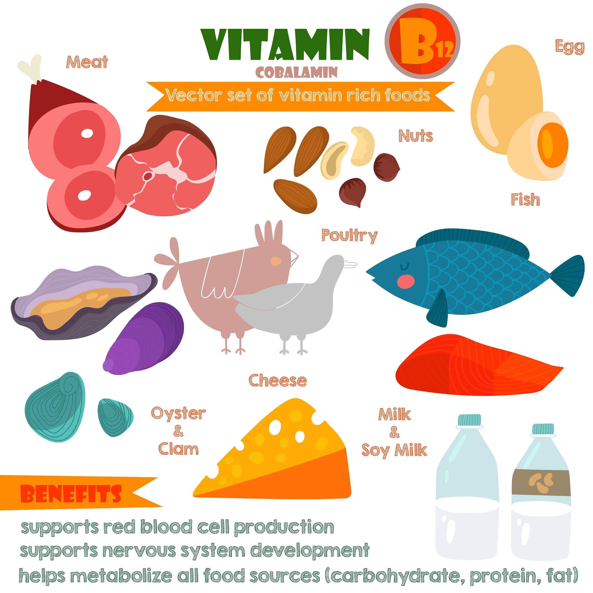 vitamin b complex rich foods